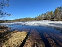 Der Winter auf dem R&uuml;ckzug