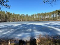 Der alte Winter in seiner Schw&auml;che, zieht sich in rauhe Berge zur&uuml;ck